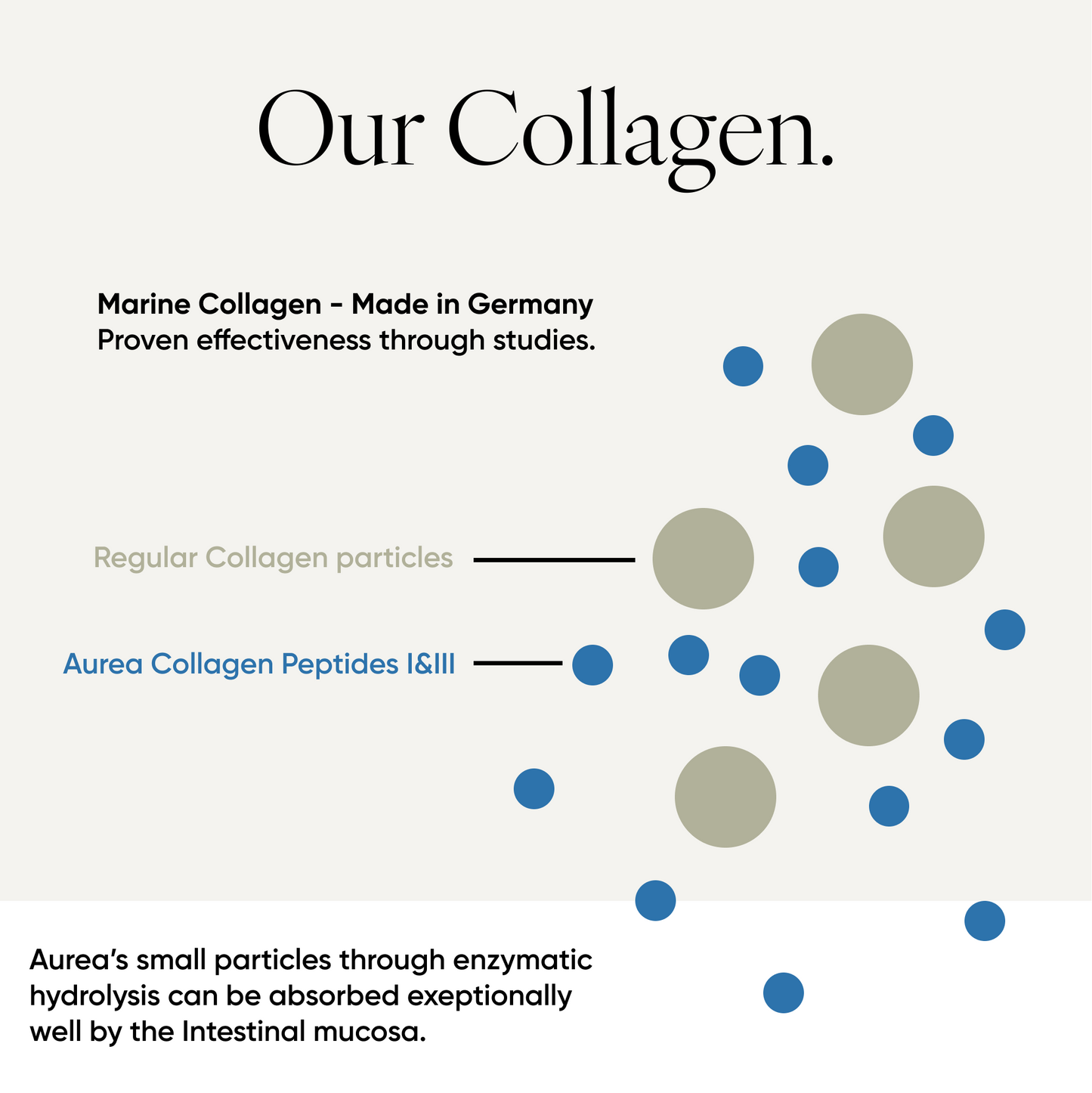 Collagen Matcha